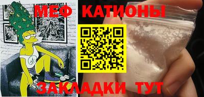 шишки Заволжье