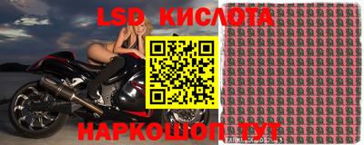 шишки Заволжье