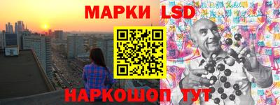 шишки Заволжье