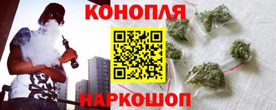 шишки Заволжье