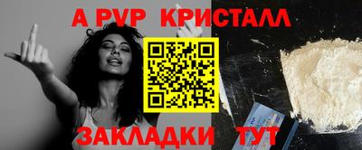 шишки Заволжье