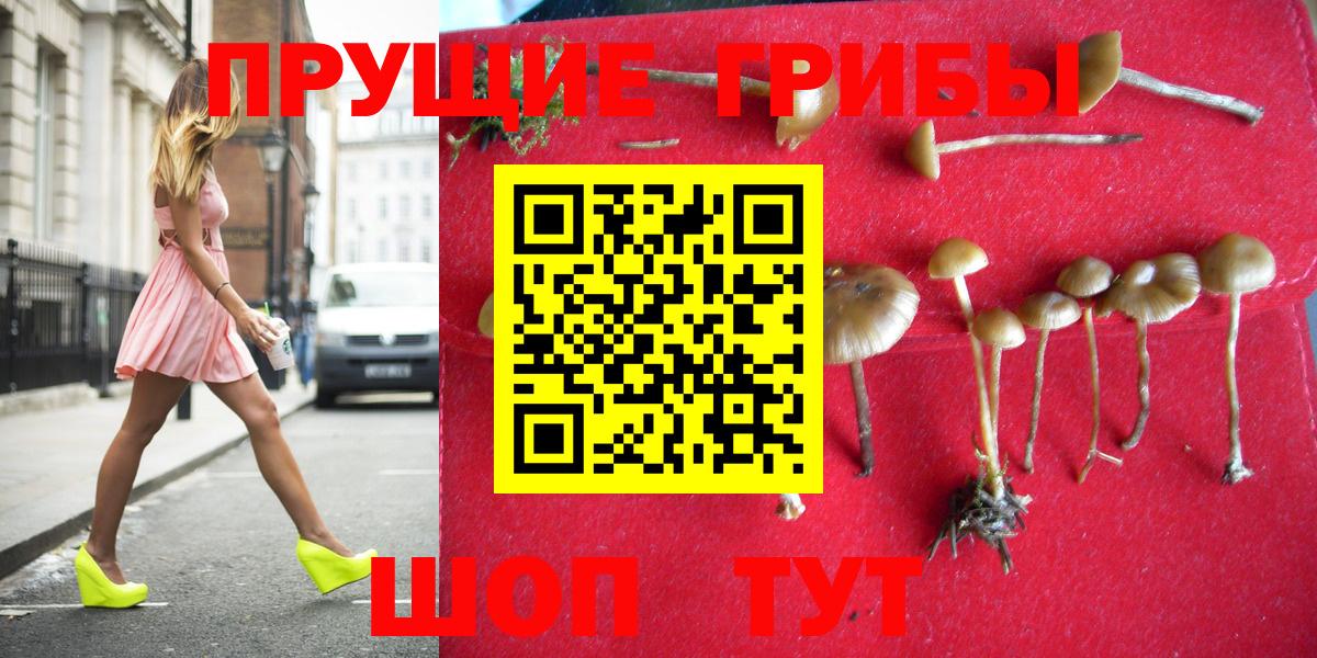 Галлюциногенные грибы прущие грибы Можга