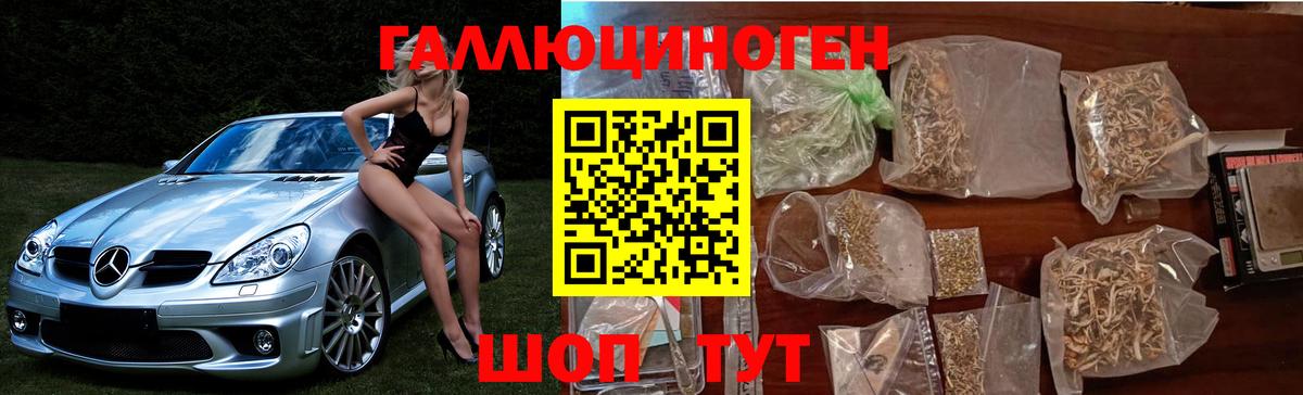 Галлюциногенные грибы ЛСД  Вход с VPN  Можга  Галлюциногенные грибы Cubensis 