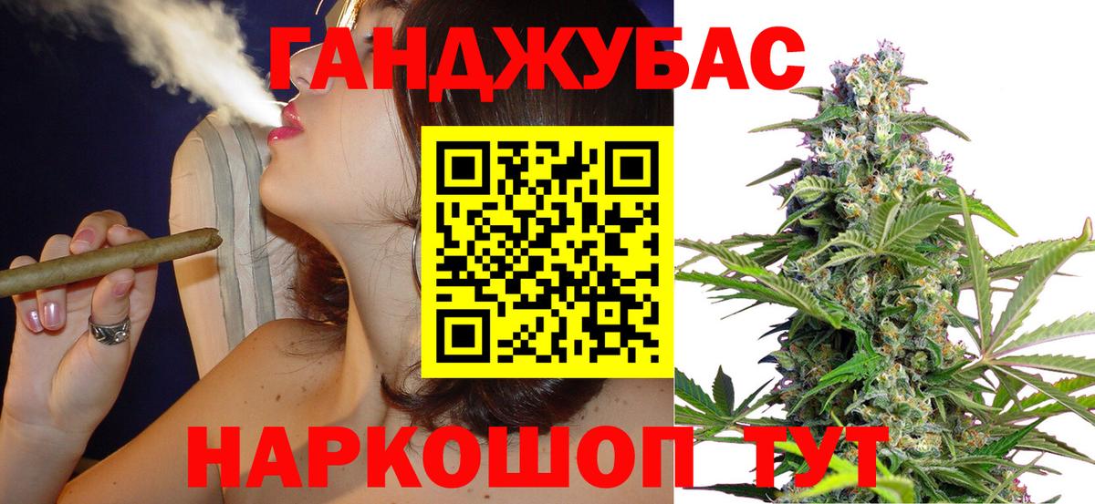 Каннабис индика Можга